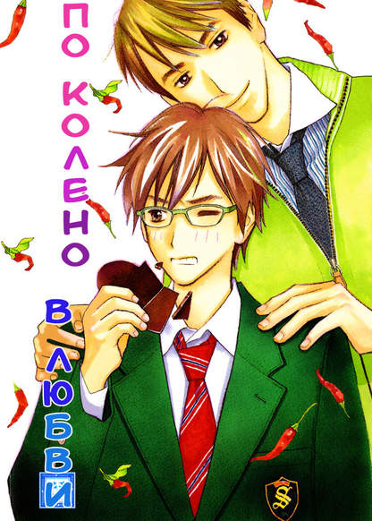 Ai no Fukasa wa Hizakurai обложка